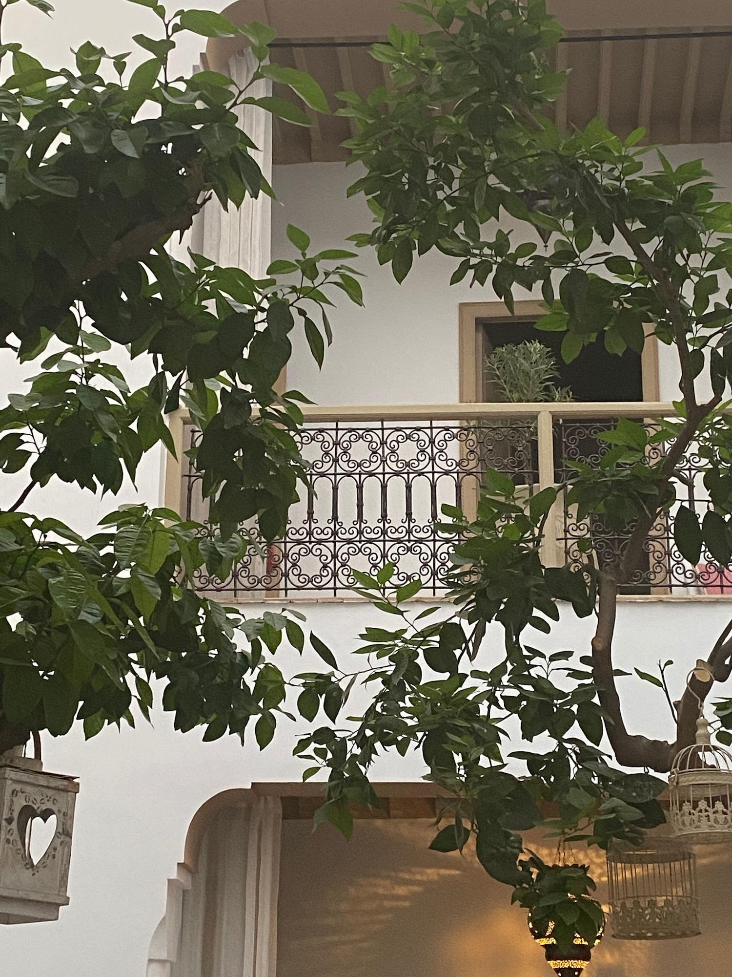 فندق رياض لى اورانجيه داليليا مراكش المظهر الخارجي الصورة